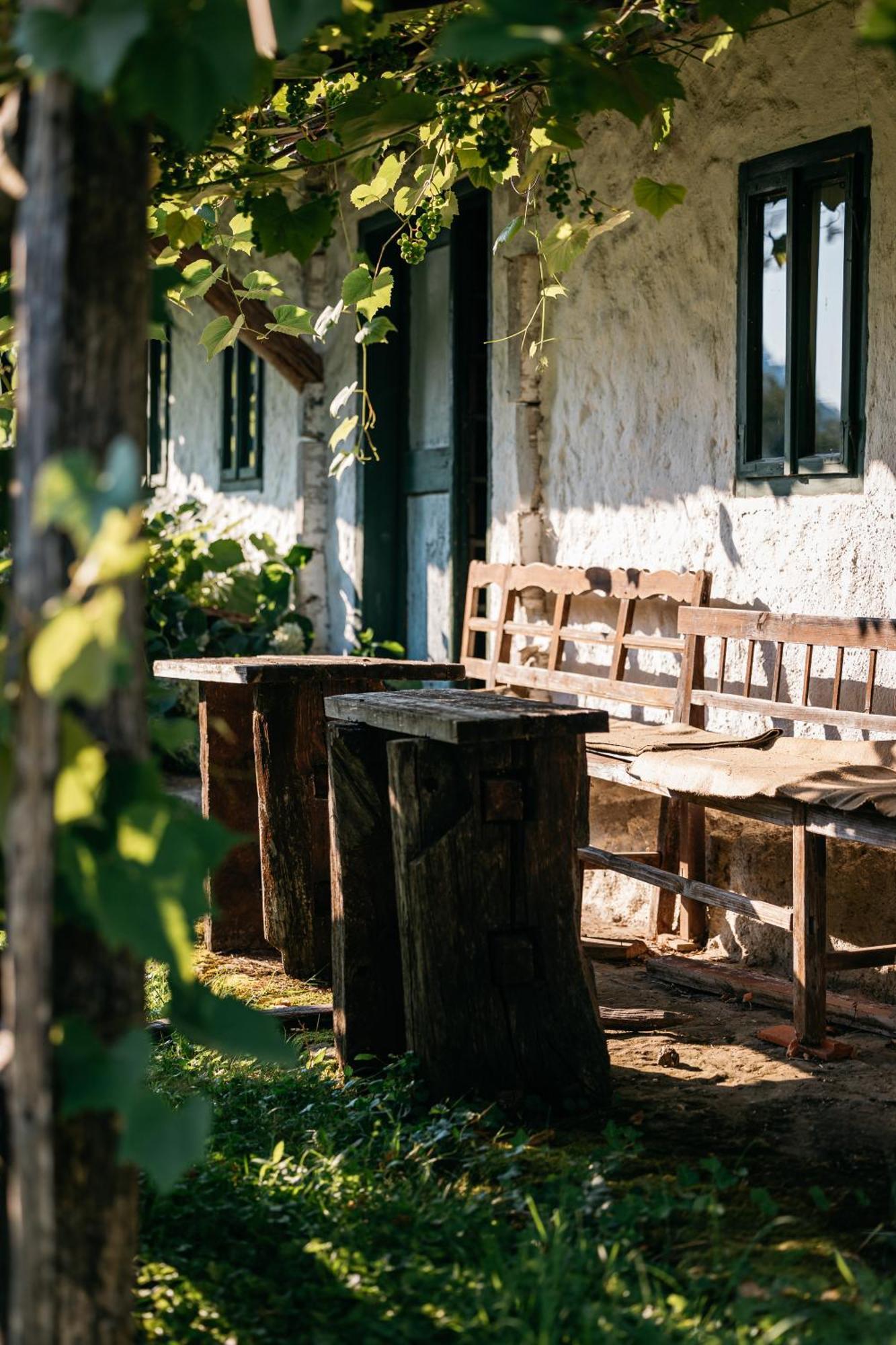 Pomona Relaxing Nature Guest House Rogaška Slatina Eksteriør billede